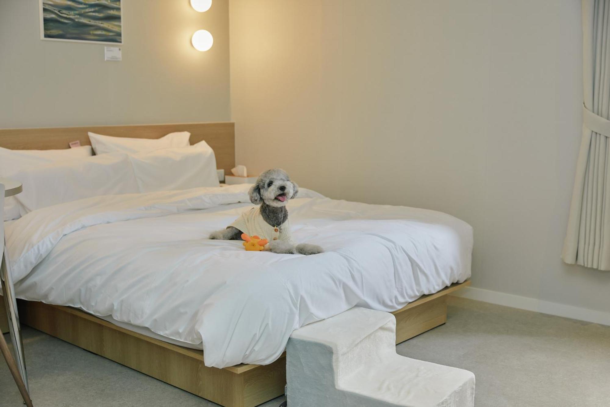 Aank Hotel Incheon Songdo Luaran gambar